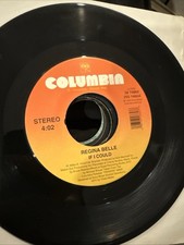  on The Hot Collector