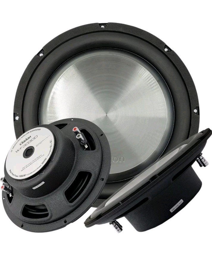 Clarion WF2520D 1000W Max 10