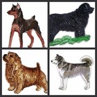 Beautiful Custom Dogs Embroidered Iron On Patches(M-N)