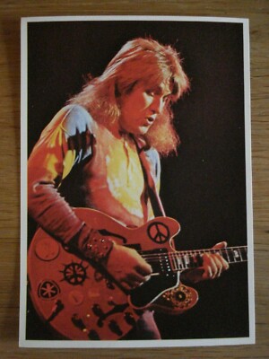 Aufkleber Mini-Poster STICKER PANINI PICTURE POP ALVIN LEE CLAPTON R.GALLAGHER