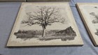Picture 13 of 20