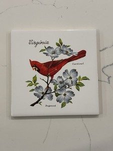 Vintage Virginia 6” Souvenir Ceramic Tile Cardinal / Dogwood • Williamsburg