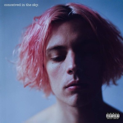 Vant Vant - Conceived In The Sky  explicit_lyrics (CD)