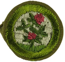 GRASSES, LEGUMES & FORAGE CROPS Type C Tan Narrow Crimped 1936-1946 Merit Badge 