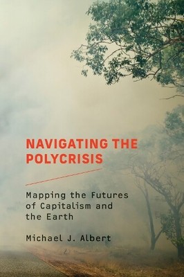 Michael J. Albert Navigating the Polycrisis (Paperback) (UK IMPORT)