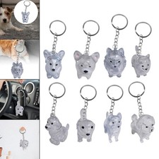 Porte-clés pour chien, collecteur de poils d'animaux, porte-clés souvenir