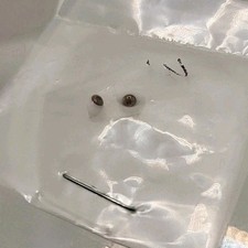 Rare 3mm Miniture Brown Oval Glass Doll Eyes Vintage