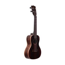 KALA KA-EBY-C CONCERT STRIPED EBONY UKULELE W. AQUILA STRINGS - EXCELLENT UKE