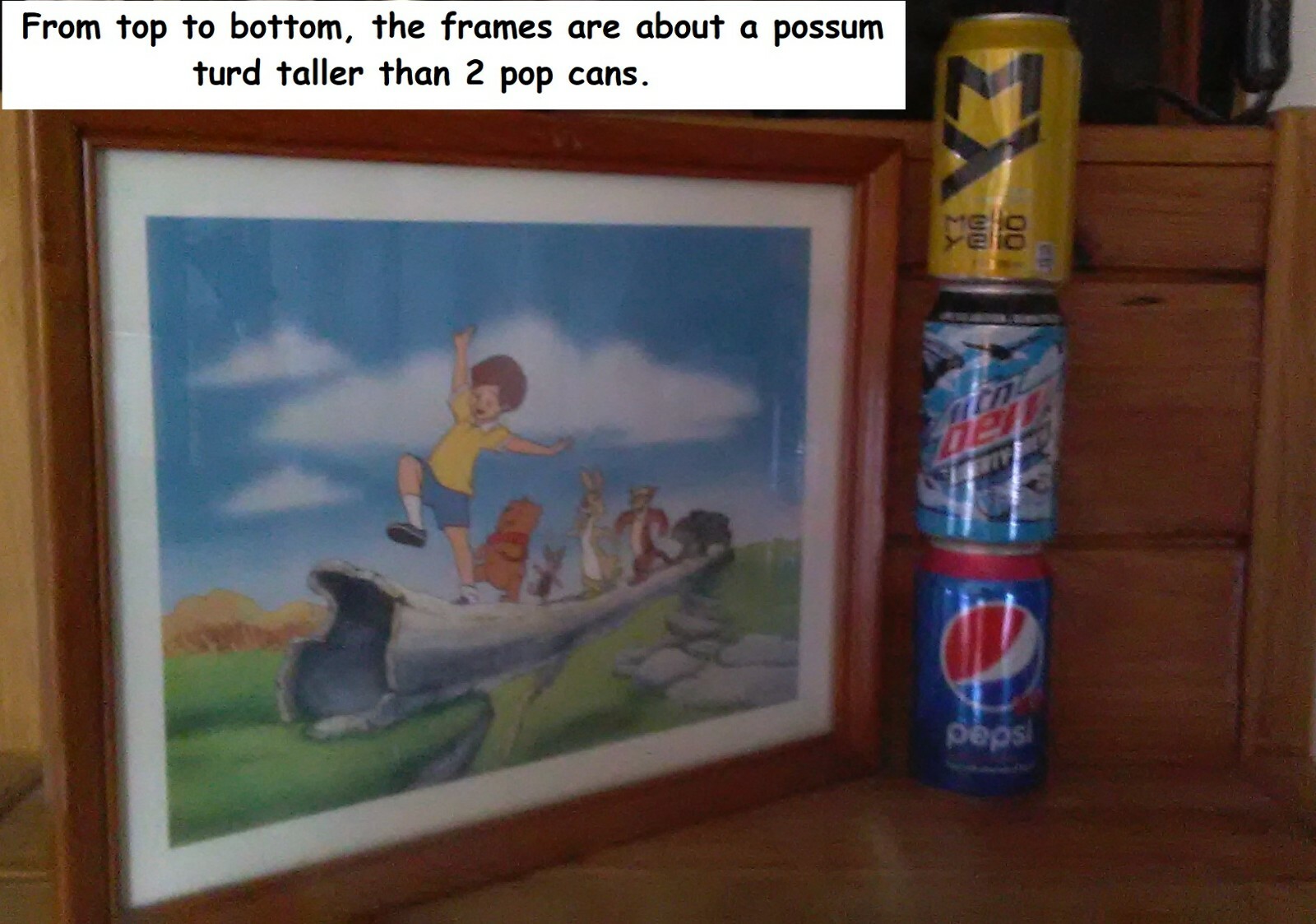 Picture 5 of 11
