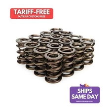 Manley 221424-16, Set of 16 Steel 1.640 Dual Valve Springs Performance Parts