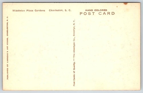 Charleston S.C. Middleton Place Gardens - Albertype handkolorierte Postkarte - Bild 2 von 2