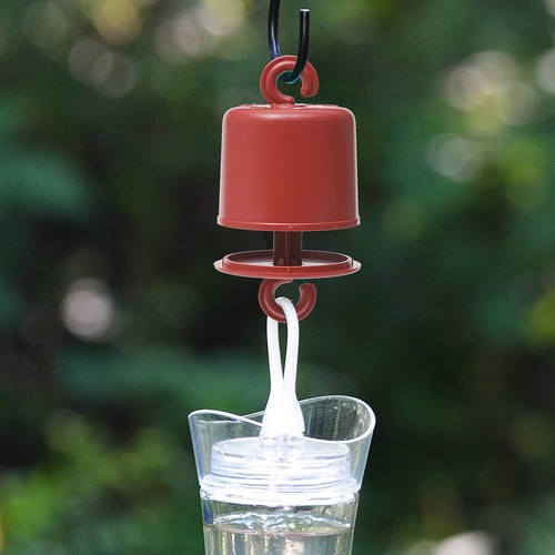 245L Protezione Formiche per Mangiatoie per Colibrì e Oriole - Protegge il Nettare dalle Formiche,... - Foto 9 di 9