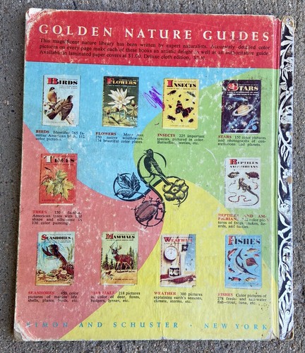A Little Golden Book Walt Disney’s Old Yeller 1957 - Picture 6 of 6