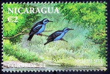 Blue Dacnis, Mielero Azul, Birds, Nicaragua 1994 MNH  [RG]