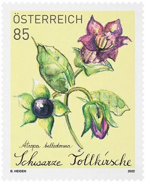 BELLADONNA