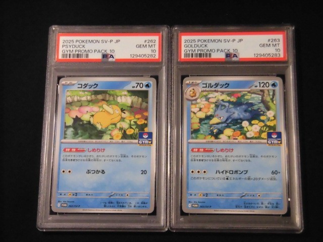 PSA 10 Pokemon Card Psyduck Golduck GYM Promo SEQ set 262/SV-P
