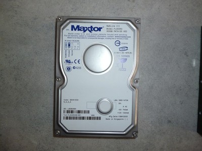 Maxtor MaxLine II 300GB ATA/133 HDD, getestet in Bestzustand