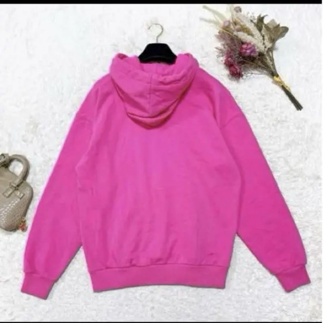 Color Rare CELINE Pink Hoodie | eBay
