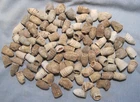 Lot of 100 Dug Civil War Fired Bullets from Port Hudson