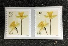 2024USA 5903 2c Daffodils - Coil Pair Mint NH  flower
