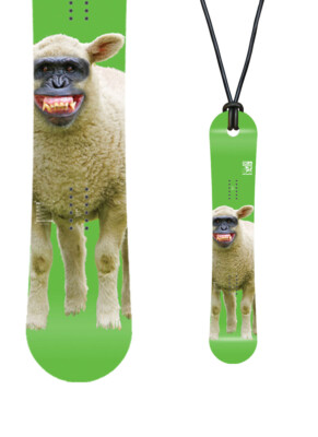 DC Snowboards PBJ 155w 12/13 MINIBOARD NEW + Geschenkverpackung nach Wahl MBX_17