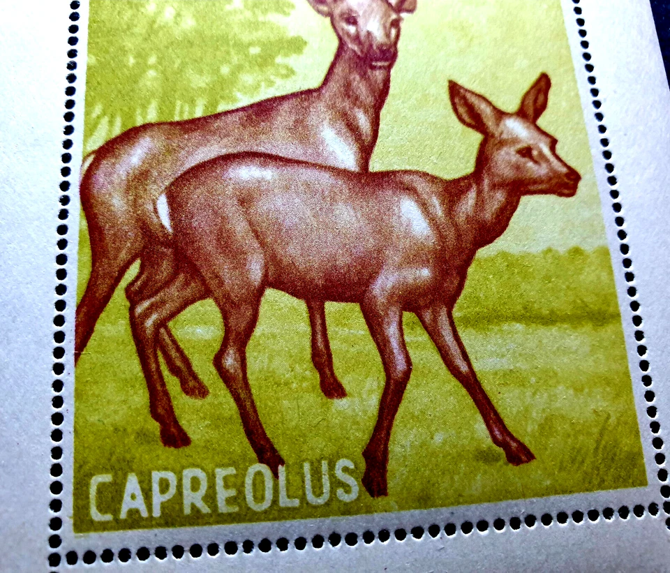 Mini hoja de sello de lujo Albania 1962 animales salvajes ciervos MNH CV $135,00 Foto 3 de 4