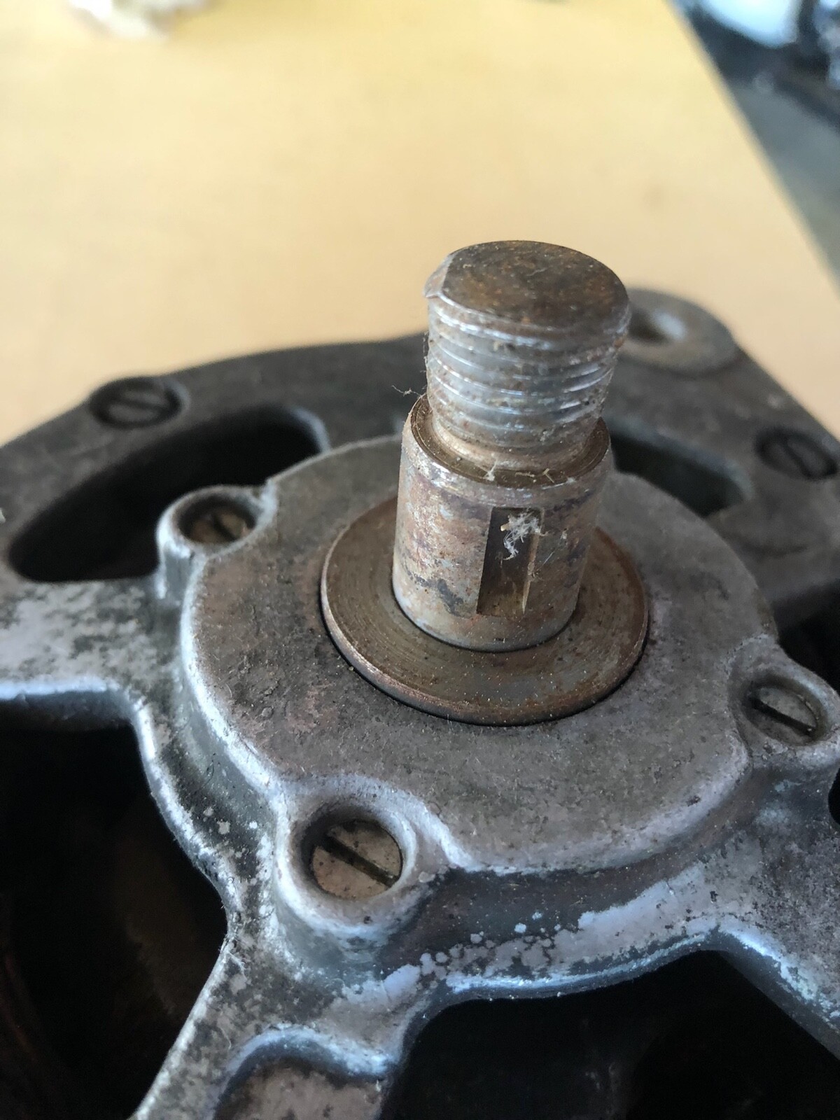 Ferrari Bosch Alternator 14 Volt (0 192 052 005 EE 14v3)
