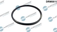 Dr. Motor Automotiv DRM0611 Dichtung, ÖLküHler FüR Audi, Ford, Seat, Skoda, VW