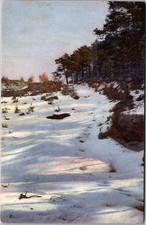 BOX Photochromie Snow Landscape Postcard Serie 91 Nr 2087 Unposted Color Pines