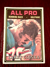 Click to enlarge Larry Csonka