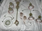Picture 11 of 23
