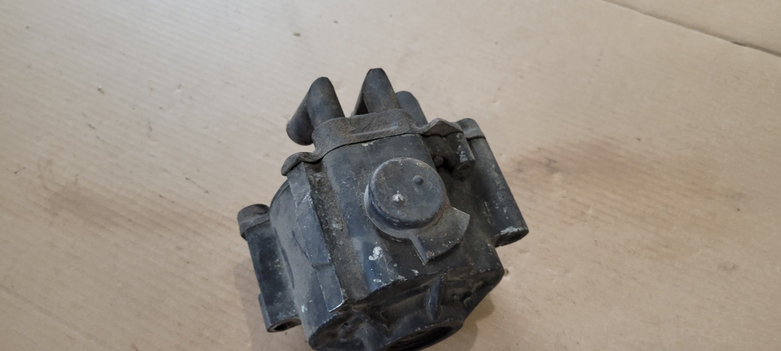Picture 5 of 19