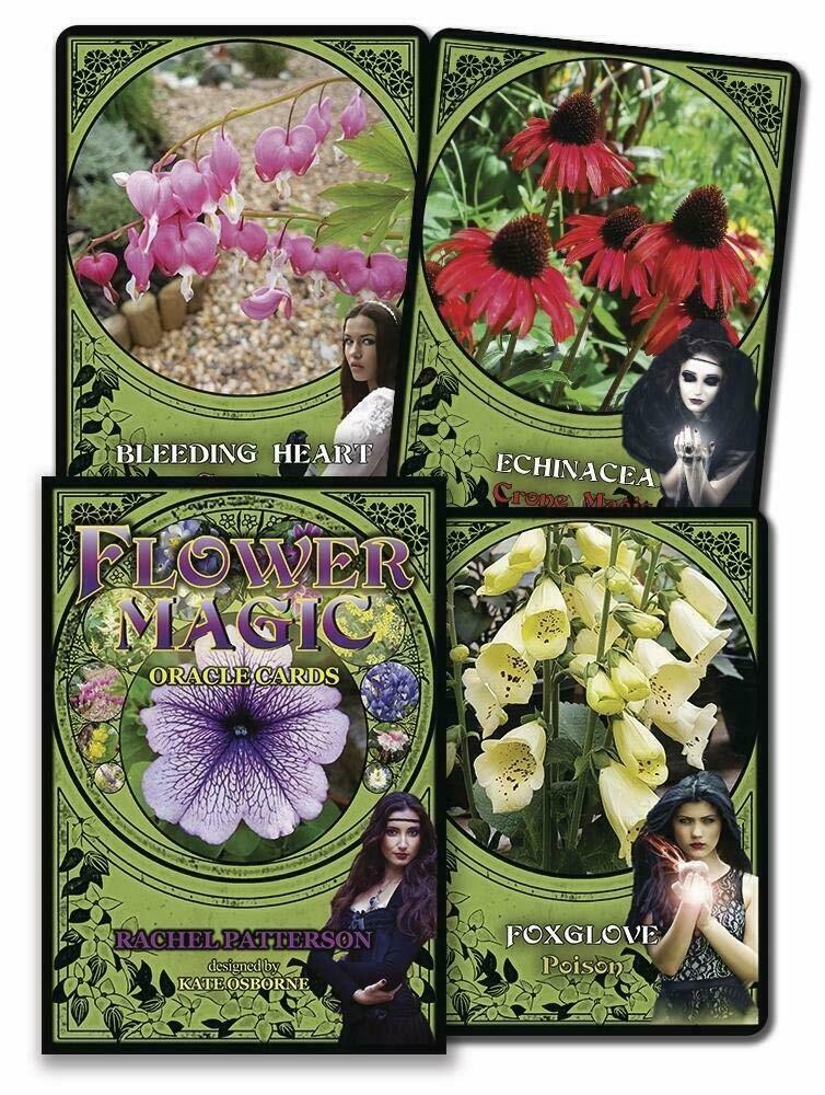 Thumbnail - Flower Magic Orakel Karten Solarus Cards And Guidebook Set Rachel