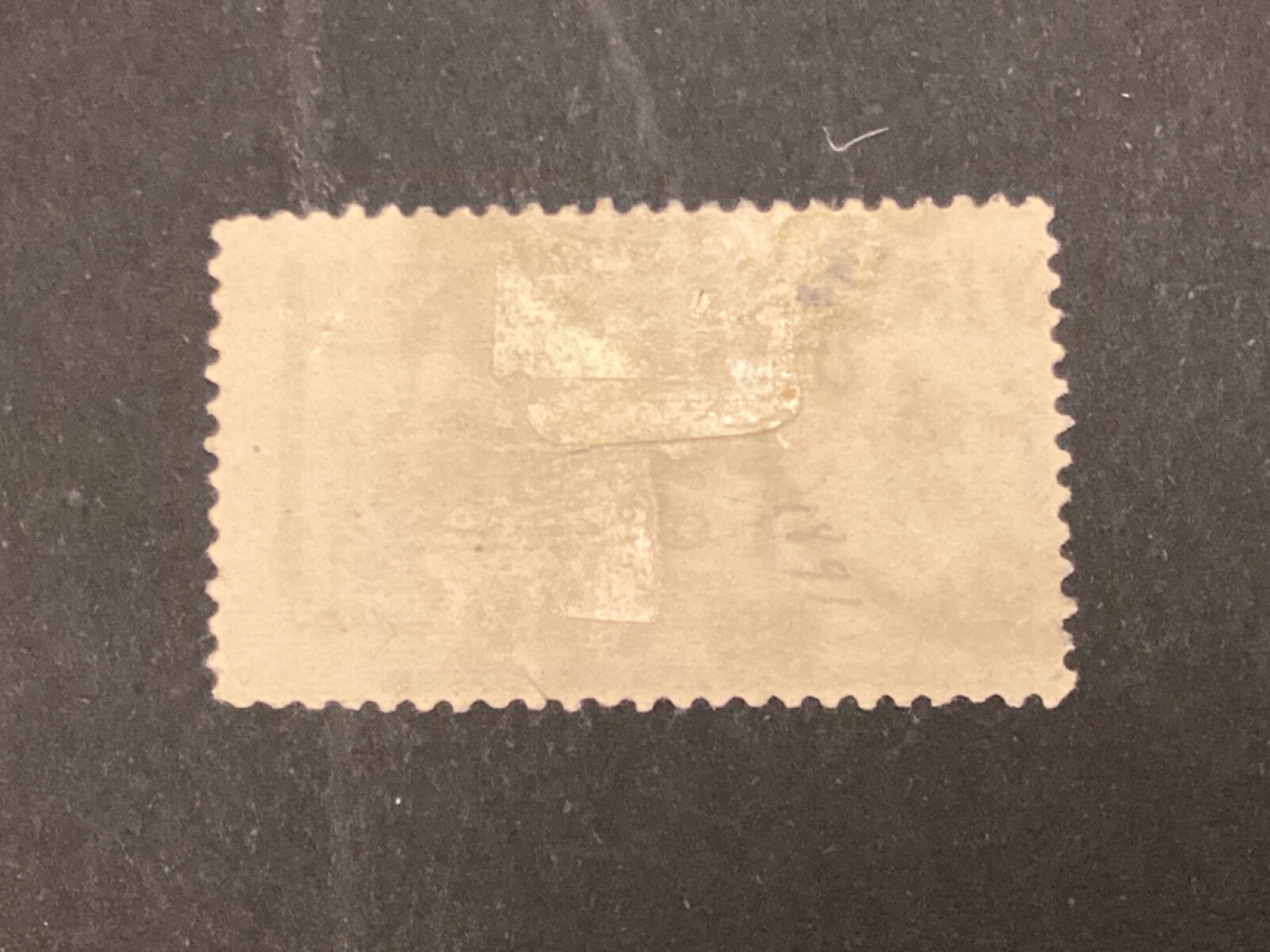 Picture 2