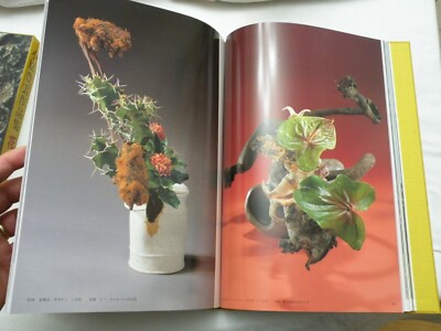 小原豊雲作品集　花曼荼羅 花曼荼羅 : 小原豊雲作品集(小原豊雲著) / ぶっくいん高知 古書