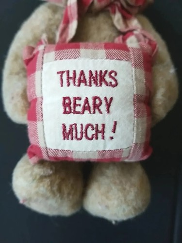 Vintage Boyds Bear Plush Merci Bearcoo Thanks Beary Much TJs Best Dressed - Picture 3 of 14