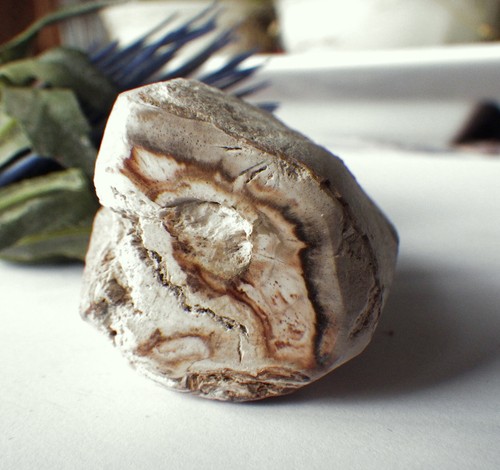 SCHMUCK-STCK VERSTEINERT HOLZ MINERALIEN S Deko Indonesien - Picture 18 of 24