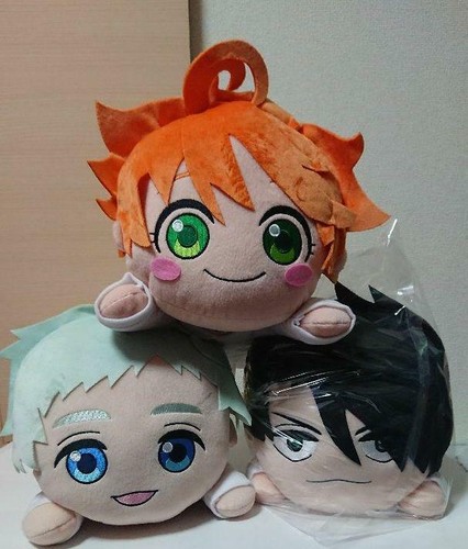 ray nesoberi