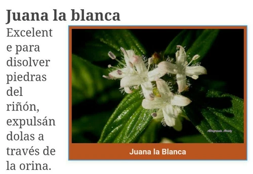 Té juana la blanca