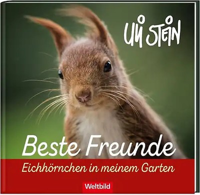 Beste Freunde - Eichhörnchen in meinem Garten - Uli Stein [Gebundene Ausgabe, We
