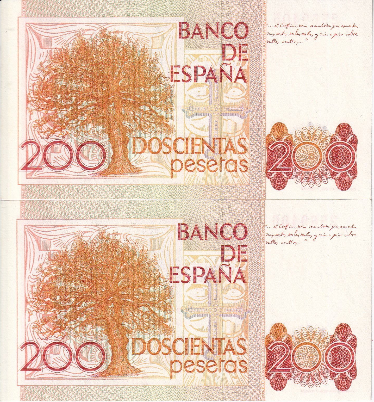 Imagen 2 de 2