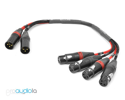 The SUM Cable | 16 Channel Adaptor | Pro Audio LA