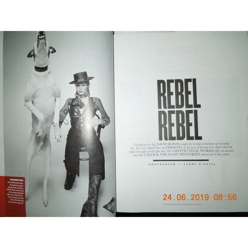 DAVID BOWIE his enduring INFLUENCE ON STYLE & CULTURE + RARE PHOTOS no label NEW - Image 2 of 4