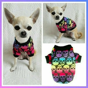 chihuahua clothes ebay