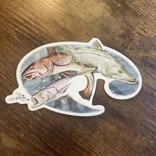 Costa Del Mar Sunglasses Logo Fly Fish Fishing Sticker/Decal  Approx 4”