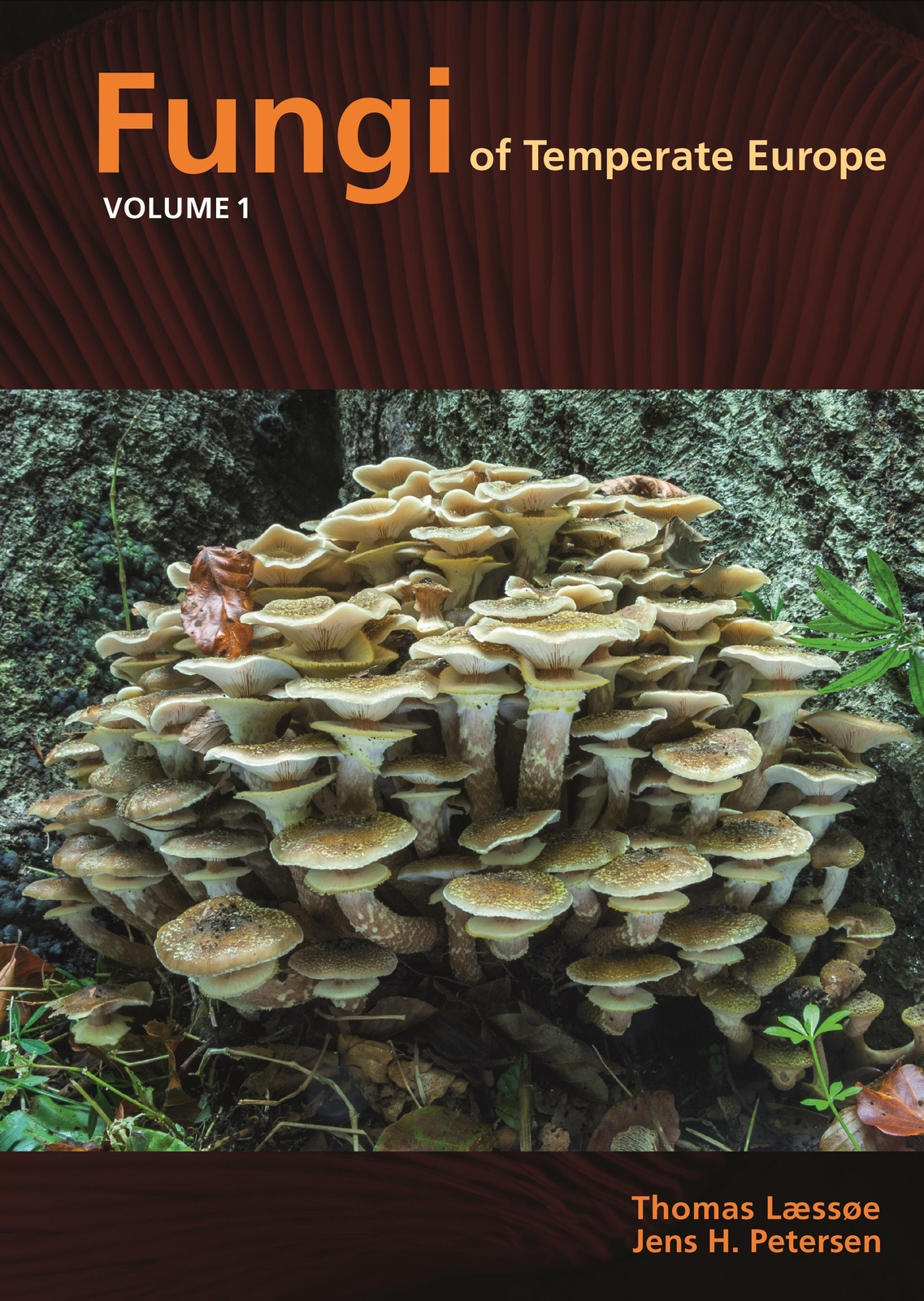 Fungi Of Temperate Europe, Thomas Laessoe