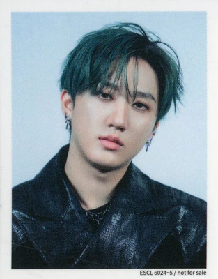 stray kids GIANT CD fc盤　チャンビン　changbin stray kids GIANT CD fc盤 チャンビン changbin Stray Kids