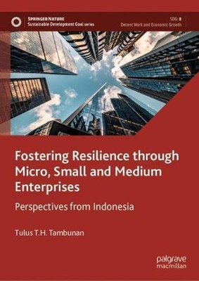 Fostering Resilience through Micro, Small and Medium Enterprises: Perspectives f