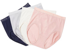 Breezies Set of 4 Nylon Microfiber Hi-Cut Briefs Medium Sterling A287800 13237