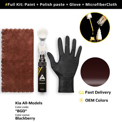 Touch up Paint for Kia Code: BGD Blackberry OEM Exact Color Match